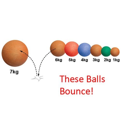 Blazer Medicine Balls