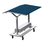 Pacer Gill Track Shelter; Roof Color ?; Graphics