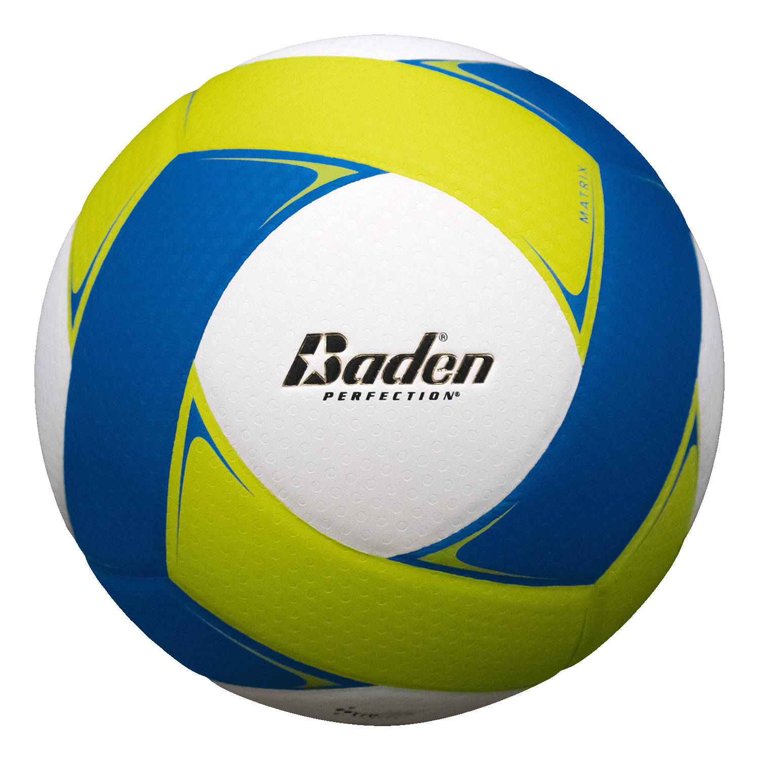 Baden Official Matrix Leather Volleyball