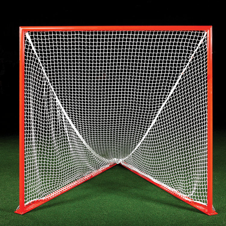 Warrior Professional Goal