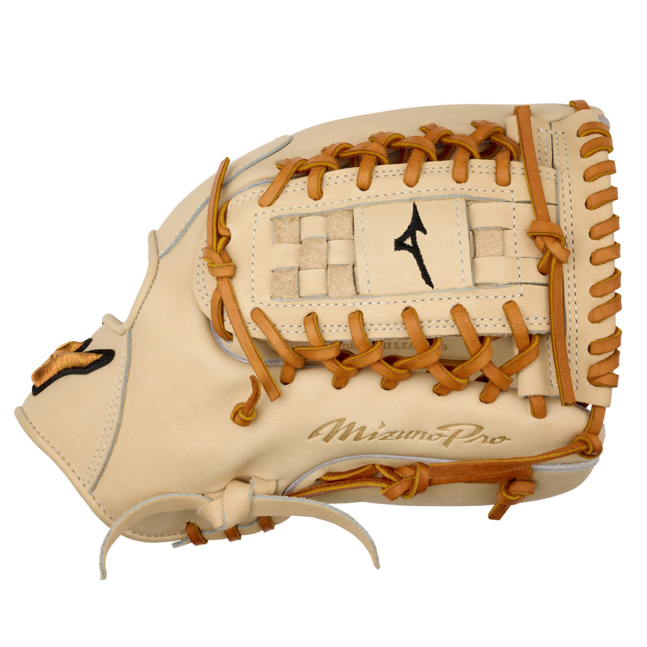 Mizuno Pro 12 Ball Glove GMP-1200D