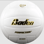 Baden Official Perfection Leather Volleyball NFHS