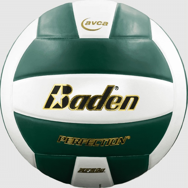 Baden Official Perfection Leather Volleyball NFHS