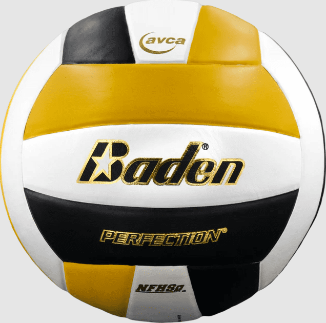 Baden Official Perfection Leather Volleyball NFHS